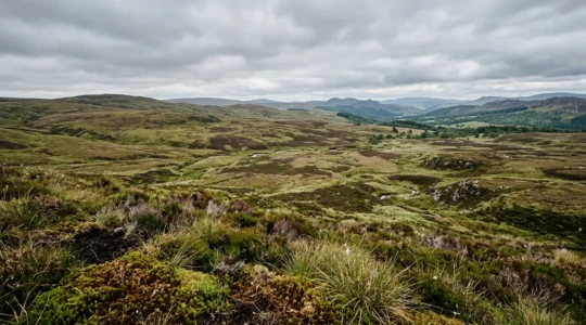 Wide view of British moorland landscape showing diverse ecosystem monitoring zones